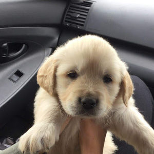 Meet your Posher, Nelly-mae